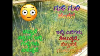 If you clap your hands here, the bubbles will rise | ಗುಳಿ ಗುಳಿ ಶಂಕರ ಎಂಬ ಮಲೆನಾಡಿನ ಅಚ್ಚರಿ