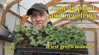 potato beans, green manure ; making a new fence