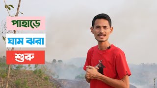 পাহাড়ে ধোয়াচ্ছন্নে জুমিয়া স্বপ্ন বুনন