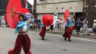 静岡大学よさこいサークルお茶ノ子祭々　にっぽんど真ん中祭り 2019