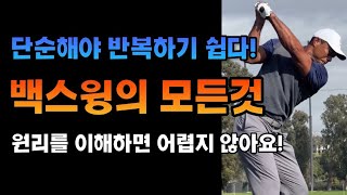 백스윙 하는 방법‼️단순한 백스윙이 최고‼️백스윙의 종류✅원리를 이해해 보세요