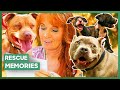 Tia And The Team Share A Christmas Dinner And Heartwarming Rescue Memories | Pit Bulls & Parolees