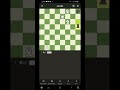 2 hamlede mat chess games checkmate puzzle