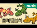 벽타기 대장, 도마뱀붙이 | 도마뱀(Lizard) vs. 도마뱀붙이(House Lizard) 어린이 자연관찰 Kids Science | 과학동화