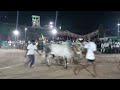 నల్లబండగూడెం గ్రామం జత పళ్ళు విభాగం 9వ జత gmr bulls