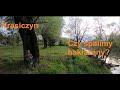 Krasiczyn, czy spalimy bakłażany?