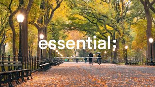 [Playlist] 재즈가 끌리면 가을 🍂  | 가을에 어울리는 영화 속 재즈 모음 | jazz music for autumn 🍂