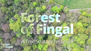 A Tree Strategy for Fingal by Fingal County Council