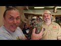 exotic reptile store tour