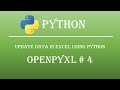 How to Write/Update Data in Excel Using Python. Openpyxl Tutorial #4
