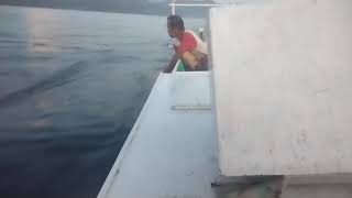 OTW Mancing Cumi