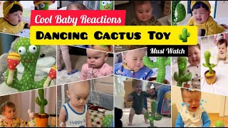 Dancing Cactus Toy | Cool Baby Reactions | Tiktok Diaries