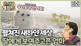 [인간극장 레전드 #278-5] 눈 뜨니 펼쳐진 새하얀 세상, 딸에게 보여주고픈 엄마 | 삼산리에 겨울이 오면 (5/5) [KBS 111205-111209 방송]