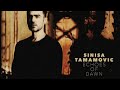 sinisa tamamovic lead to the chords systematic recordings