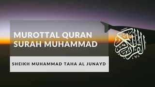 Murottal Merdu Surah Muhammad by Syeikh Muhammad Taha Al Junaid