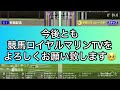 【阪神ジュベナイルフィリーズ2024】【独自指数予想】ウイポ枠確定後シミュレーション ブラウンラチェット メイデイレディ テリオスララ コートアリシアン ショウナンザナドゥ 3133