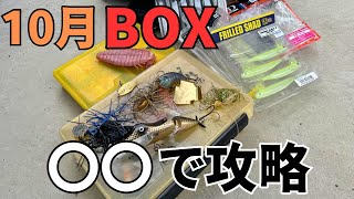 【バス釣り】10月のタックルBOX入れ替え！おすすめのルアー、ワームを解説しながら整理します。一年で1番〇〇で釣れる時期！【爆釣ルアー】【最新ルアー】【名作ルアー】