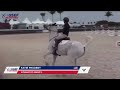 wtf is the united states equestrian federation doing with young riders