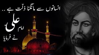 Life Changing Quotes by Hazrat Ali (R.A) in Urdu 2020 | Imam Ali Sayings | Aqwal by Maula Ali