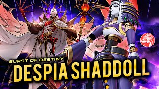 DESPIA SHADDOLL Deck + Analysis 📈 | POST BURST OF DESTINY