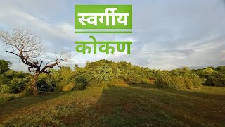 जंगल सफरीतील काही दृश्ये | स्वर्गीय कोकण |पहिला पाऊस #kokan #junglesafari