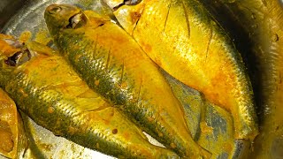 বাংলাদেশের জনপ্রিয়  ইলিশ মাছ ভাজা | Hilsa Fish  Fry  Bengali Ilish Mach Vaja.