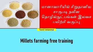 சிறுதானிய சாகுபடி நவீன தொழில்நுட்பங்கள் இலவச பயிற்சி வகுப்பு || Tamil Velanmai