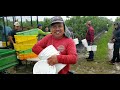 la ciudad estan en cuarentena. y los trabajadores del campo agrÍcola siguen trabajando