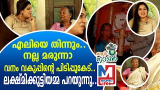 പദ്മശ്രീ ലക്ഷ്മിക്കുട്ടിയമ്മയ്ക്ക് ചിലത് പറയാനുണ്ട് | lakshmikutty amma