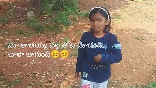 మా మహా  అమ్మమ్మా వాళ్ళ తోటాని  పరిచయం చేస్తుంది చూడండి😃😃😃