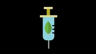 NoSQL injection Basics Tryhackme