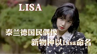 泰蘭德之光！為了致敬lisa，最近清邁大學的研究團隊專門將一種新發現的瀕臨滅絕的新品種，命名為Lalisa之花！