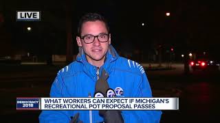 What workers can expect if Michigan's recreational pot proposal passes