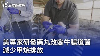 美專家研發藥丸改變牛腸道菌 減少甲烷排放｜20241125 公視晚間新聞