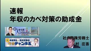 【北村先生】速報　年収のカベ対策の助成金