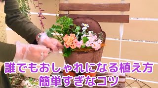 ガーデニングおしゃれ庭【必見】おしゃれ寄せ植えの為の植え方のコツ　春の寄せ植え　ガーデニング初心者さんもできる！　春のお庭の様子　#寄せ植え