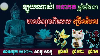 ឡូយណាស់ អនាគតឆ្នាំមមី ថោះ និងវក មានចំណុចពិសេសច្រើនមែន,ep learning 2030