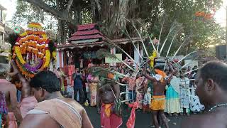 4K Kaliyadapu Kavadi Kattu Festival 2023 || Colachel #kavadi #colachel #2023 #thiruchendur #murugan