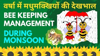 वर्षा के दिनों में मधुमक्खियों की देखभाल || How to Take care Bees in Monsoon