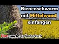 3kg Bienenschwarm mit Mittelwand einfangen | NOT macht erfinderisch