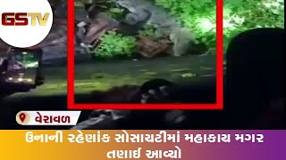 Veraval : ઉનાની રહેણાંક સોસાયટીમાં મહાકાય મગર તણાઈ આવ્યો | Gstv Gujarati News