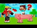 Trolling Baby Herobrine With Long Pigs In Minecraft