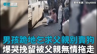 男孩大哭跪地乞求父親別賣自己的夥伴狗狗，卻被父親無情拖走，網友：無良父親親手毀了孩子的童年！