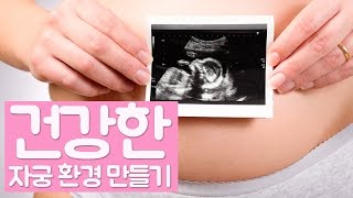 임신초기 가장 중요한! 건강한 자궁만들기 ( 예비맘 추천 )