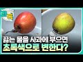 [과톡] SNS 실험 재판!  / YTN 사이언스