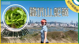 [邊境美景生態路線] 鐵坑山 蛇嶺 馬草壟 明信片一般的美景 仲可以摘有機菜呀 又食又拎路線!!