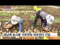 초강력 레이저 시설·농식품 기후변화 대응센터 구축 ytn