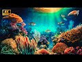 The Ocean [4K Ultra Full HD] | Beauty on the Seabed | Under Water | The Planet