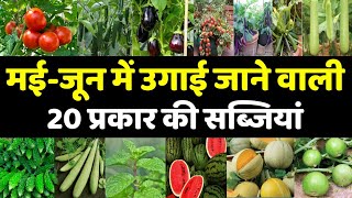 मई - जून में उगाई जाने वाली 20 प्रकार की सब्जियां | vegetables grow in may June #vegetables