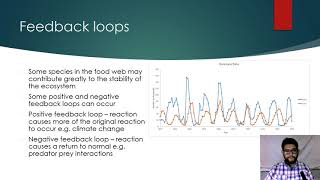 APES Topic 1.11, Food Chains and Food Webs